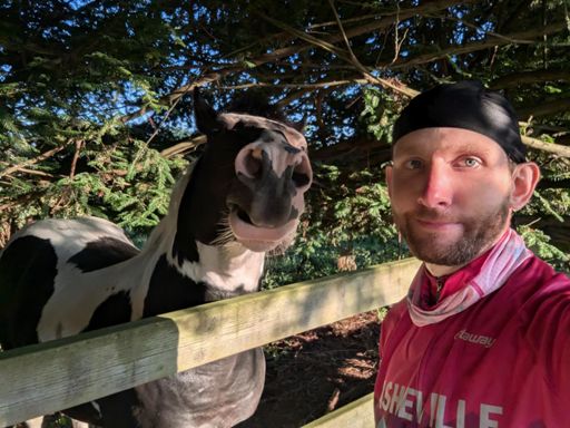 Horse making a goofy look.