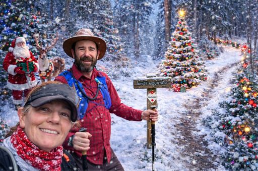 Obviously this is AI… fun!