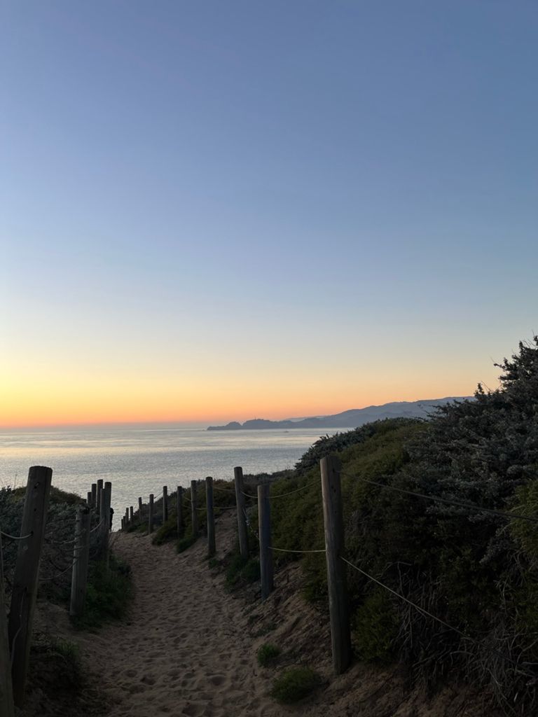 Butterlap (Presidio & Golden Gate Park) photo 35