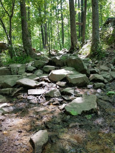 King Mother Hummer of Rock Gardens!