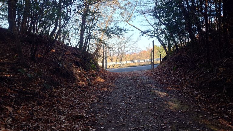 初めて登った時は”長いな～”と思いましたが、今日はそうでもなかった。