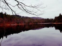 Rando trail Falkenstein