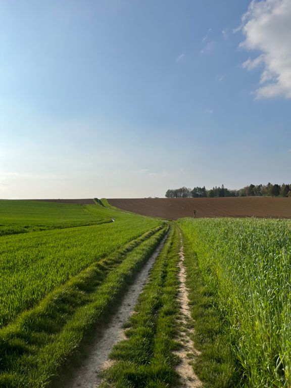 route-highlight