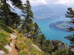 Rando Rigi Hochflue par sentier alpin