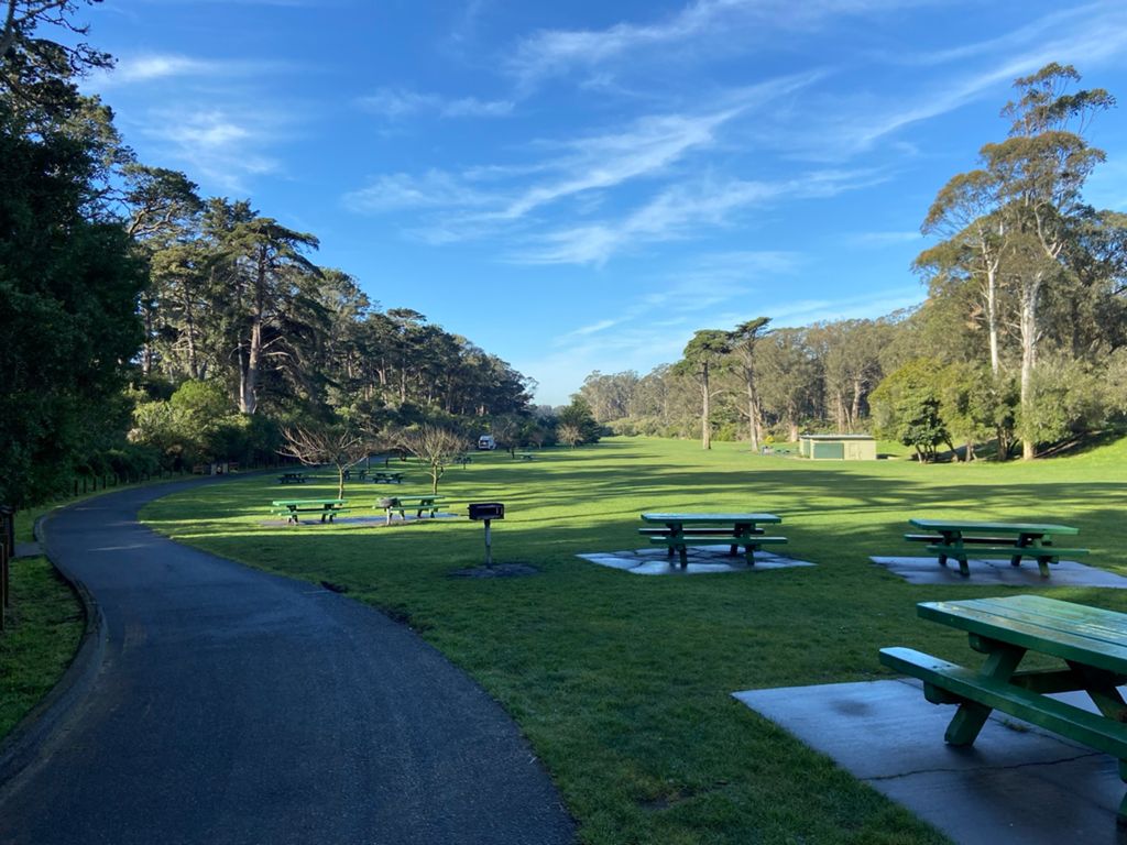 Butterlap (Presidio & Golden Gate Park) photo 101
