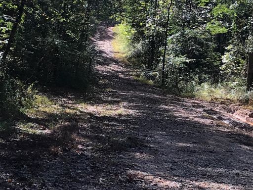 Closed Road off Chapman Rd