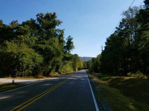 Double Oak from Co Rd 41.