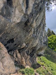 Chöpfenberg Tierberg