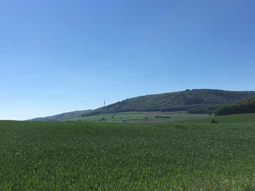 Schneeweider Funkturm