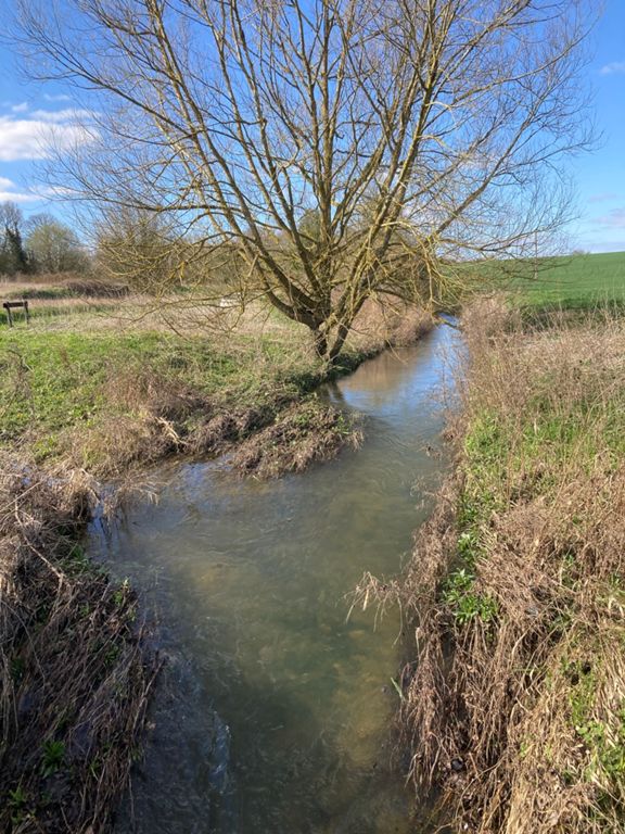 Cherry Lane Long Melford SSR 55.3 mi Cycling Route on Strava