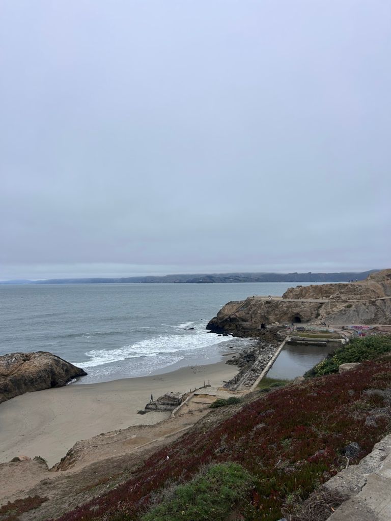 Butterlap (Presidio & Golden Gate Park) photo 163