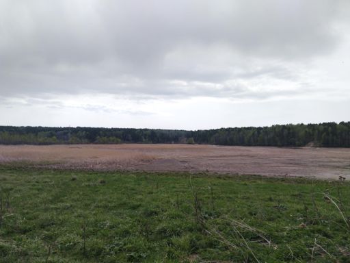 Найдите на фото р. Коен