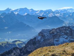 Non tour des Morteys