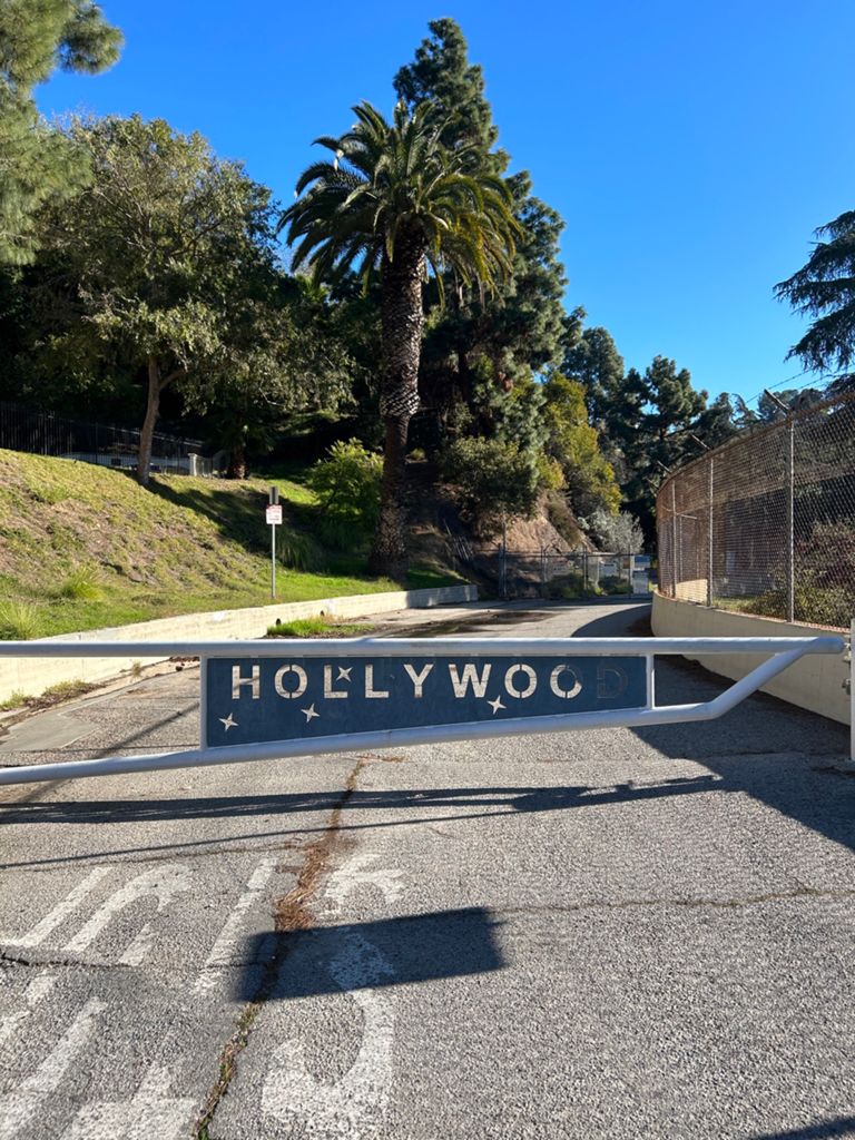 NBB run - Lake Hollywood: фото 150