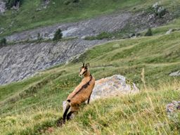 Crapahutage Brenleire Folliéran