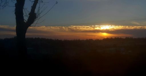 מהגבעה צהובה, אלון שבות