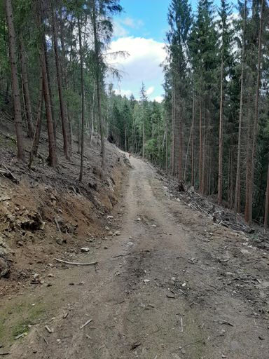 Das hier war einmal ein schöner Trail 😥😥😡