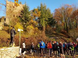 Sortie TRA au Mont Ste Odile