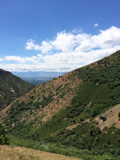 See the trail on the right?