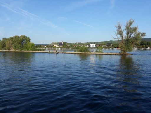 Zicht op rechter Rijnoever vanaf veerpont Ingelheim