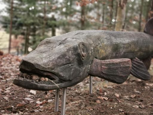 am Freiland Labor Kaniswall