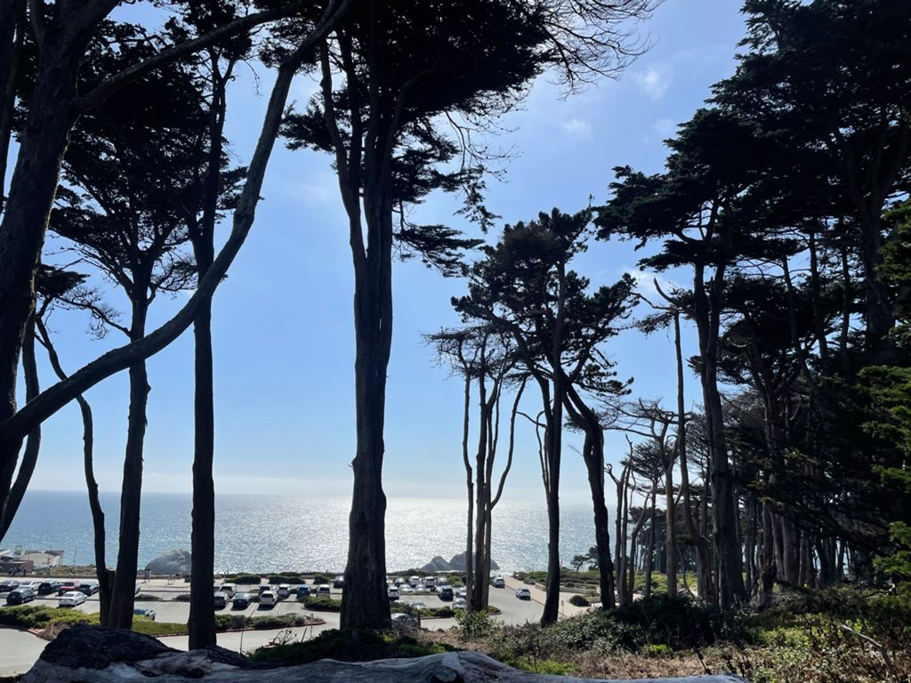 Butterlap (Presidio & Golden Gate Park) photo 140