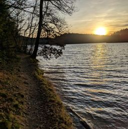 Back home, bonne année !