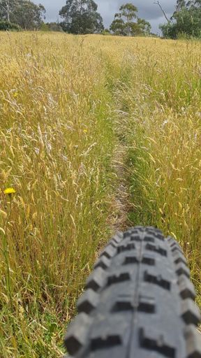 Hope no wigglie sticks