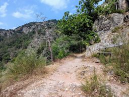 Tour Ribeauvillé Taennchel