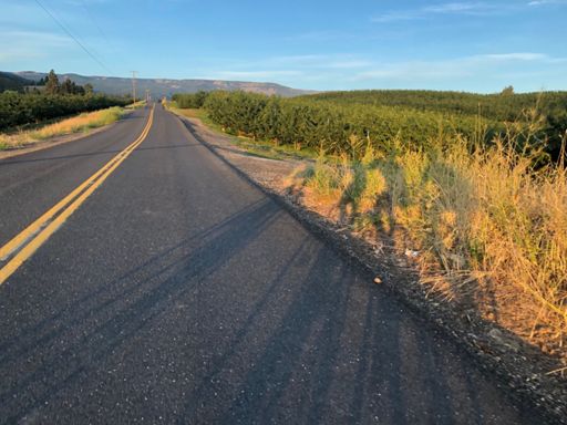 “Hey someone take a picture of that” - D Visser