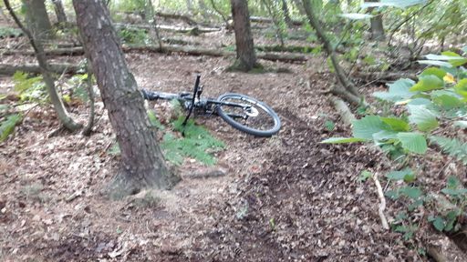 Old trail  discovered today