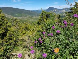 Haut tour du lac de Castillon en VTT