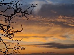 Sortie à vélo le soir