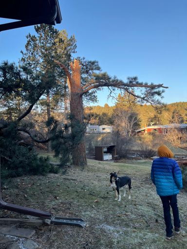 The big wind storm of December 2025