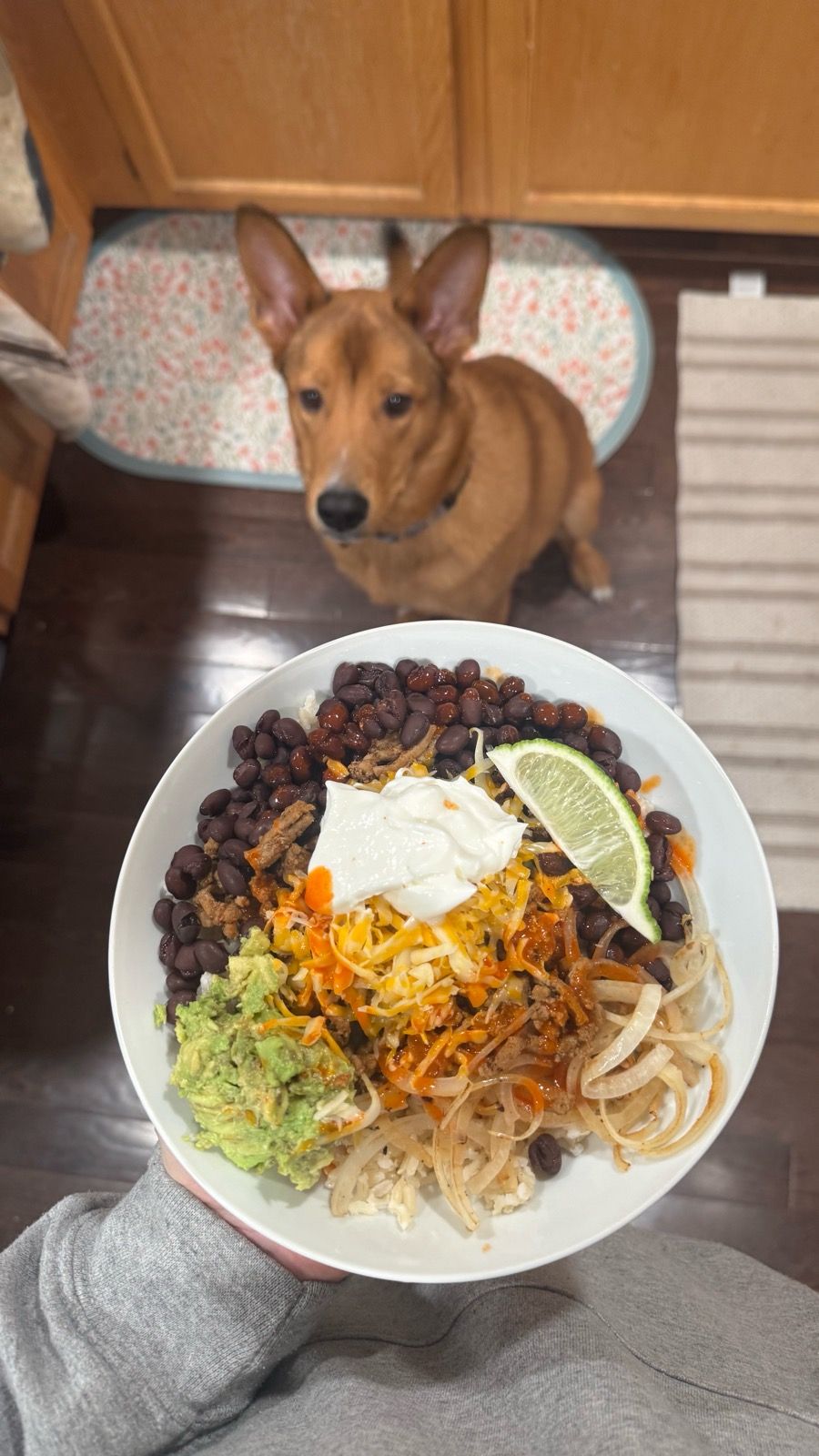 Archer wanted in on my post lift dinner. Don’t worry he got a special treat of his own 