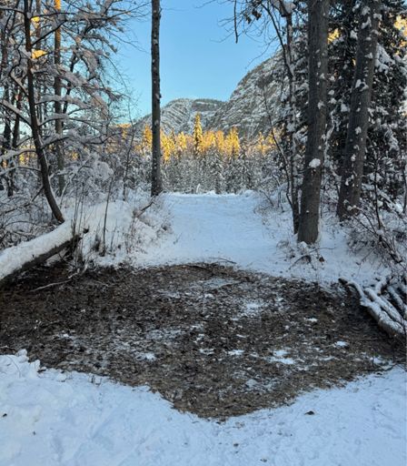Bare dry crossing— remnant of flooding 3 weeks ago. 