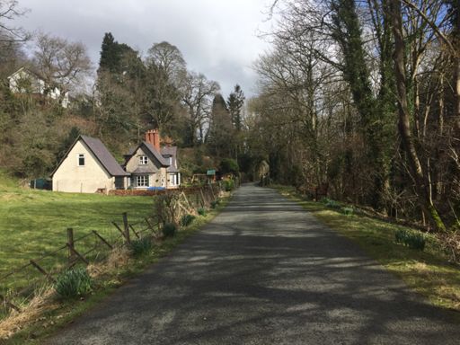 My ‘secret’ Alpine valley near Mold. Such s beautiful, unspoilt place