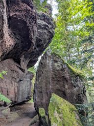 Balade autour de schaefferhof