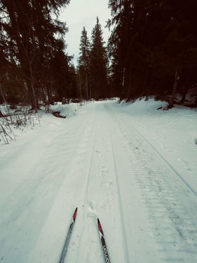 Elzquelle-Downhill in Schneemobilspur – beste Loipe heute