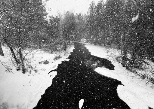 Jackson Creek, just frozen at the edges.