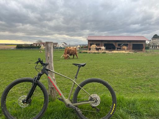 La bête à KOMs et la bête à cornes
