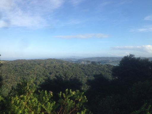 View over whakanewha from top of Omiha