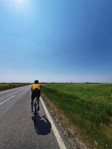 My Fatness in the Flesh!