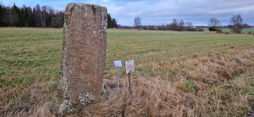 "Alle och Karle reste denna sten efter Frösten, sin fader, en mycket god tägn"