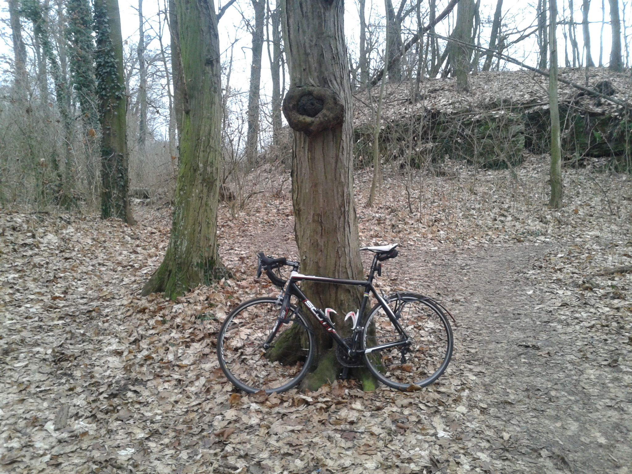Magické oko ve vinořském zámeckém parku.