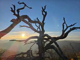 Dans les coins de Wuestenberg