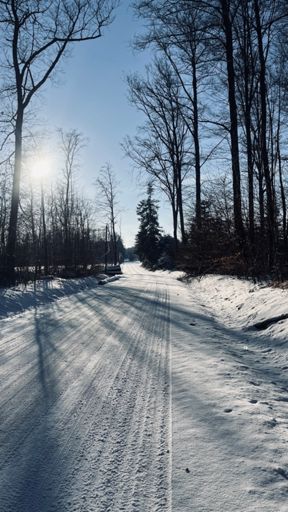 Quel plaisir de rouler sur les petites routes non salées 🫠