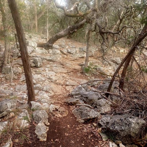 Damn Danzy Creek climb