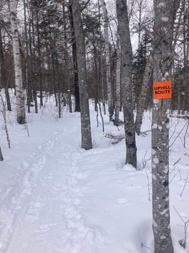 Skin track on West Mountain, Sugar Loaf. 