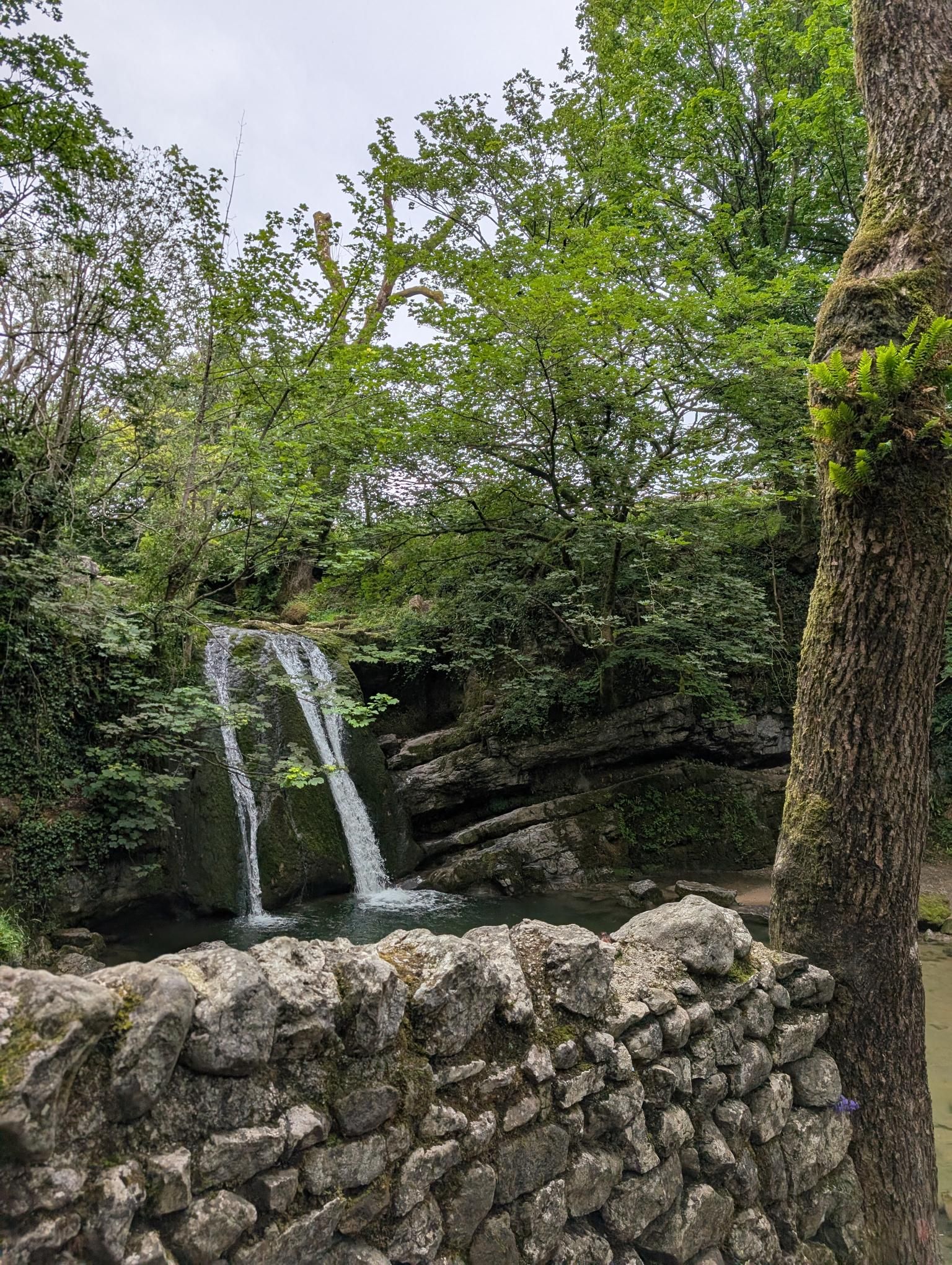 Settle to Skipton photo 5